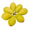 Pera "ercolina" - Imatge 2